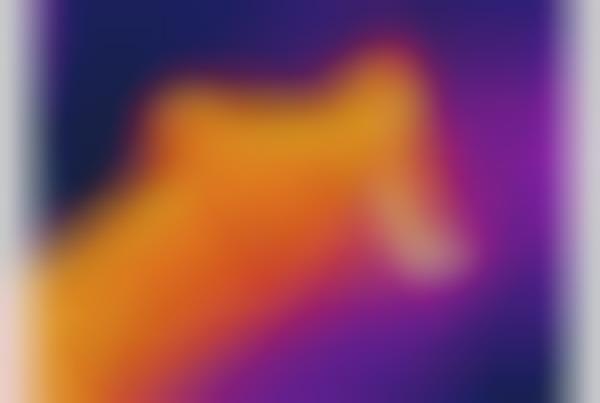 Thermal Chromatic Photography