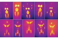 Thermal Chromatic Photography Image 2