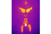 Thermal Chromatic Photography Image 3