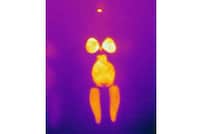 Thermal Chromatic Photography Image 5