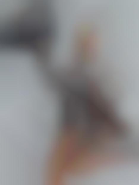 Prancing Zebra Print Editorials