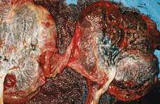 Unorthodox Still Life Photography