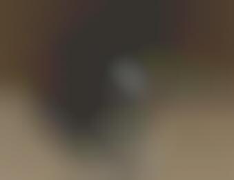 Viral Inter-Office Pranks