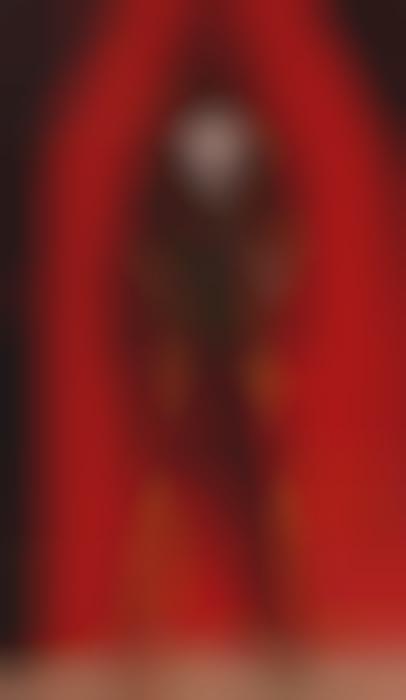 Transparent Swimsuit Covers