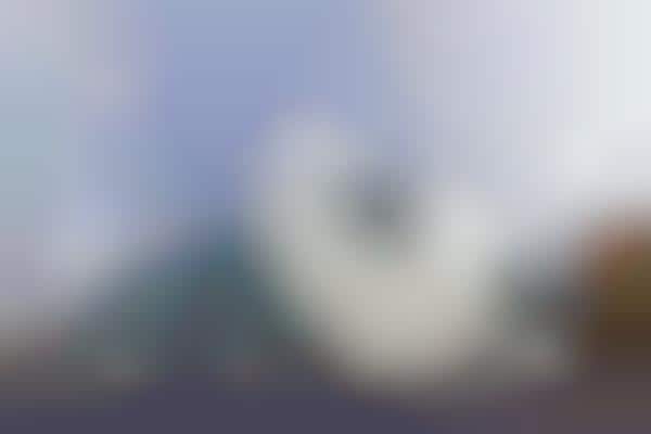 Abstract Artchitecture