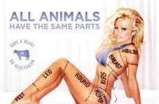 Dissecting Celebrity Activists