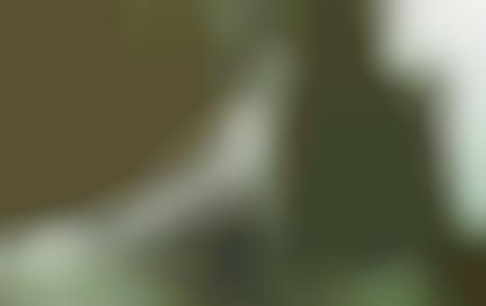 Sneak Peek Designer Sneakers