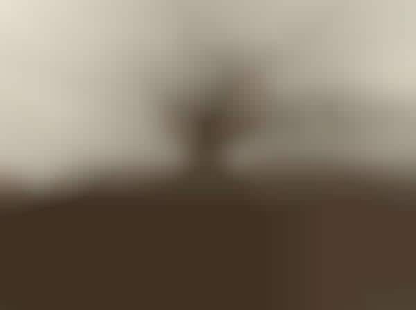 Horizon-Mimicking Photography