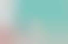 Twitter Fail Wallpaper