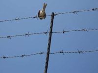 Prison Insider Photography Image 7