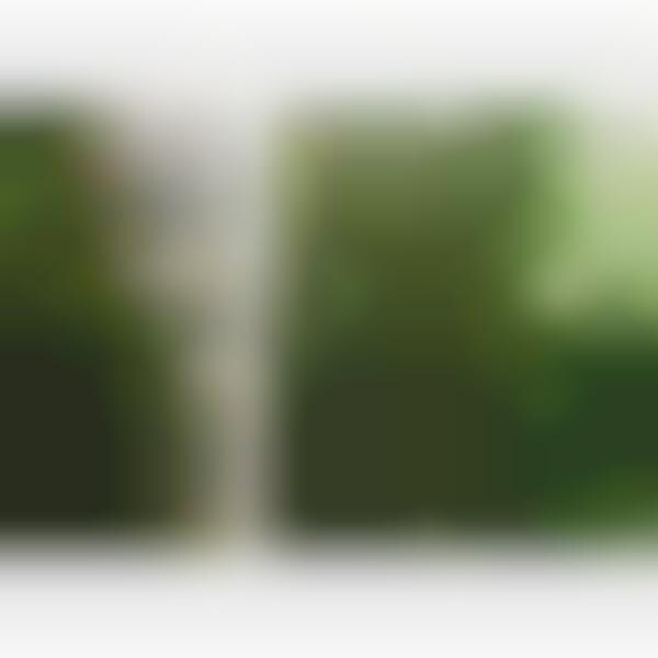 Pixelated Exterior Walls