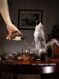 Taxidermy Beer Bottles Image 2