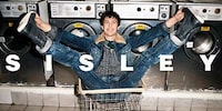 Grocery Store Pictorials Image 6