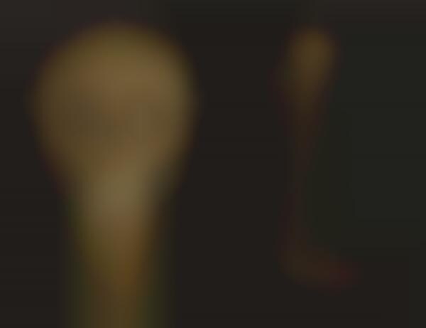 Intricate Skullptures