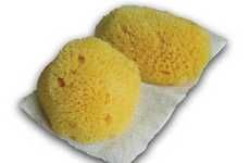 Tampon Sponges