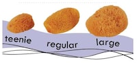 Tampon Sponges Image 2