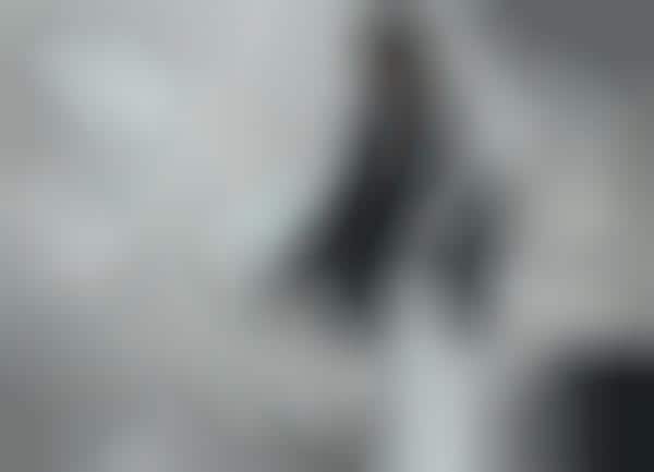 Foggy Menswear Ads