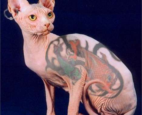 33 Non-Human Tattoo Innovations