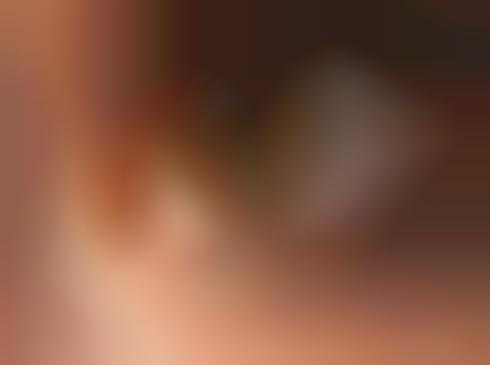 False Fly Eyelashes