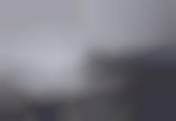 Foggy Day Photography