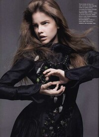 Feathered Sleeves  Image 2