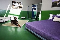 California Canine Retreats Image 3