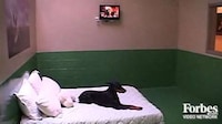 California Canine Retreats Image 5