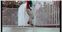3D Skate Videos Image 7