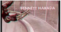 3D Skate Videos Image 8