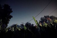 Dusk Landscape Shoots Image 2