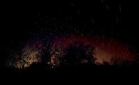 Dusk Landscape Shoots Image 3