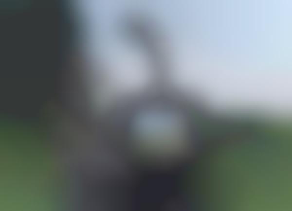 Caddy Bag Cameras
