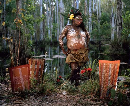 Transgendered Tribal Shoots