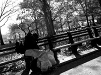 Empire State Photography Image 6