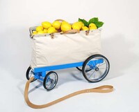 Brilliant Buggy Bags Image 5