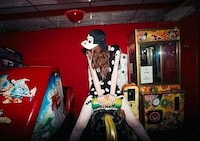 Disarming Carnival Lookbooks Image 3