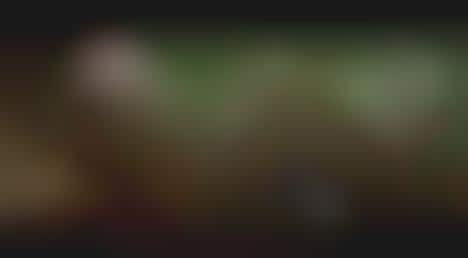 Modernized Fairy Tale Ads