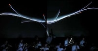 Heartbeat Symphonies Image 2