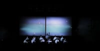 Heartbeat Symphonies Image 4