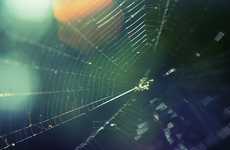Amplified Nature Photography