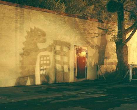 Godzilla Shadow Photography