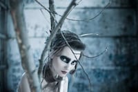 Bird-Embodying Photography Image 6