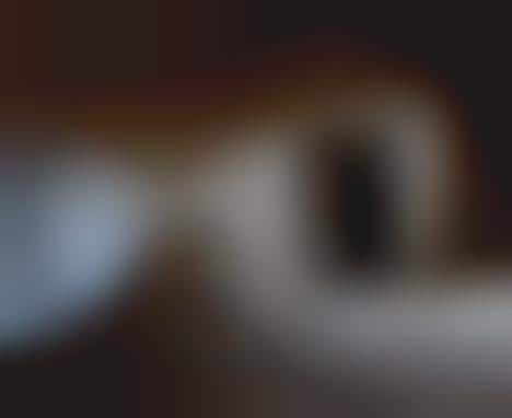 Indoor Desert Photography