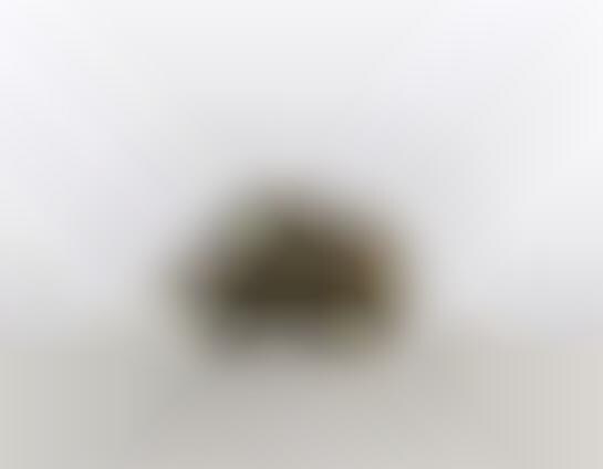 Miniature Critter Photography