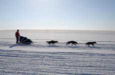 User-Friendly Dog Sleds