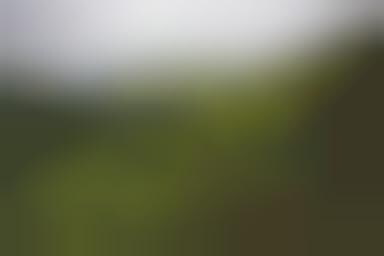 Existential Sculptures