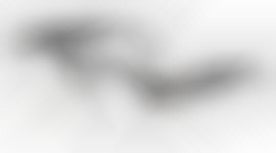 Skull-Branded Specs