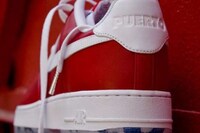 Territory-Loving Kicks Image 3