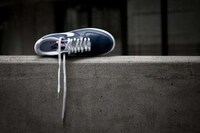 Territory-Loving Kicks Image 6