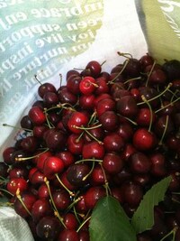 City Fruit-Picking Image 6